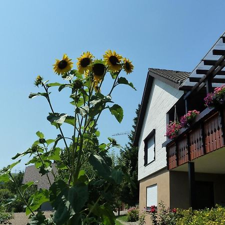 Blumenwiese Weilheim Exterior photo