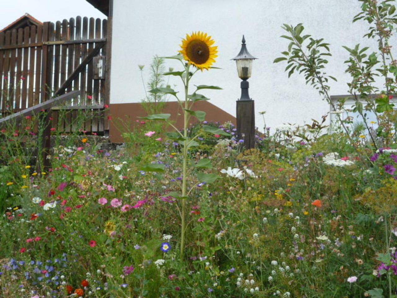 Blumenwiese Weilheim Exterior photo