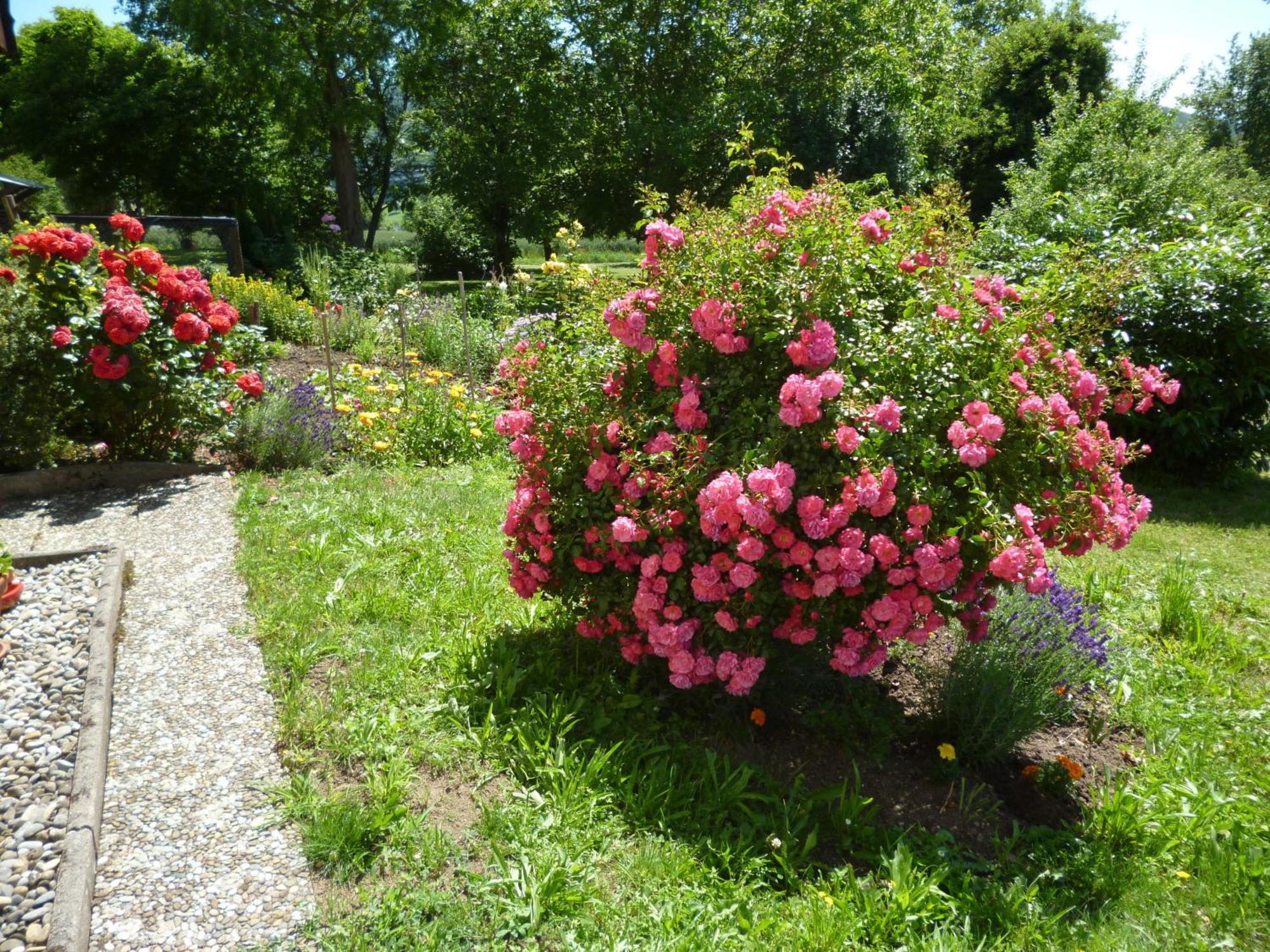 Blumenwiese Weilheim Exterior photo