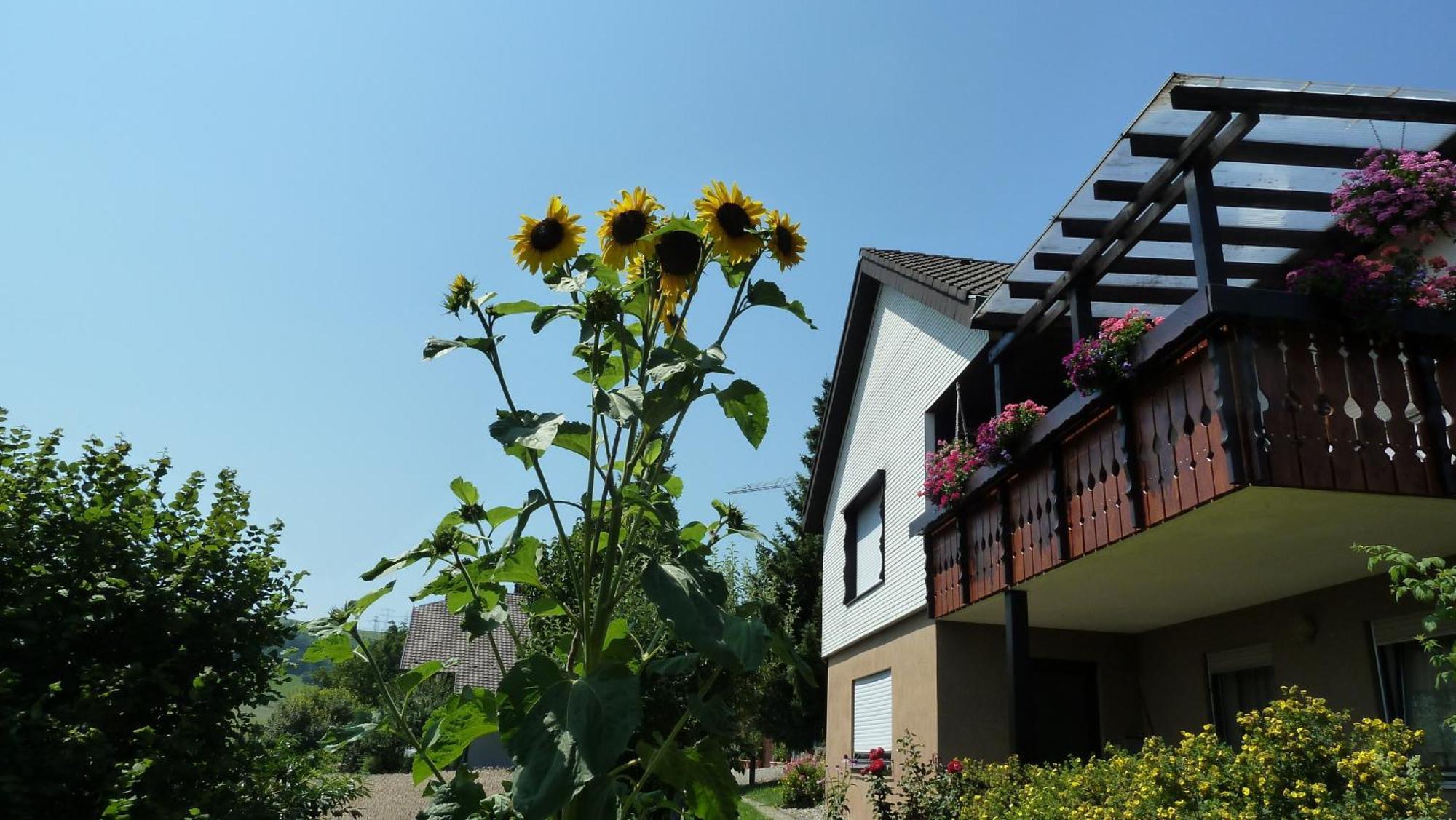 Blumenwiese Weilheim Exterior photo